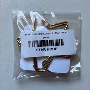 New! Treasure Jewels Star Earrings in Gold